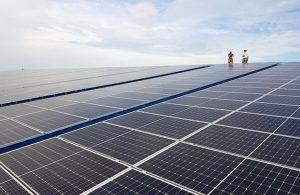 Nhờ giá điện mặt trời khá hấp dẫn mà ngày càng nở rộ các dự án điện năng lượng mặt trời
