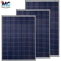 Tấm pin năng lượng mặt trời Poly 275W