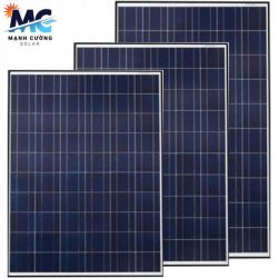 Tấm pin năng lượng mặt trời Poly 50W